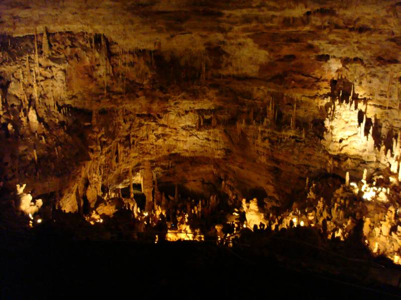 Formation in Natural Bridge Caverns