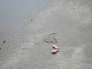 Remains of Sandcastle, Galveston