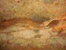 Formation in Natural Bridge Caverns