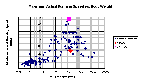mammal_actual_running_speed