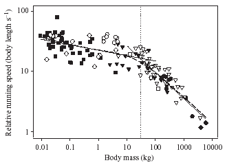 mammal_relative_running_speed_source