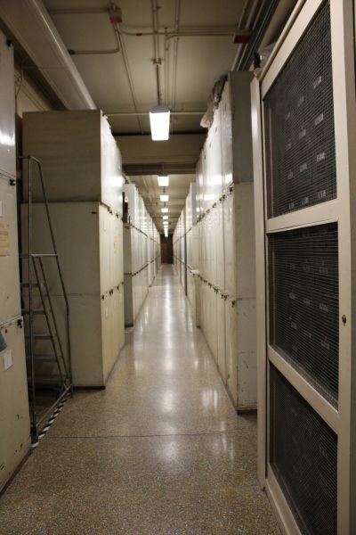 Back Halls of Smithsonian Natural History Museum