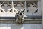 National Cathedral