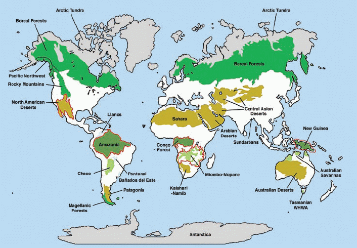 North America Africa Wilderness