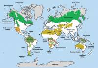 Wilderness Map by Mittermeier et al