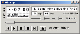 WinAmp Skin